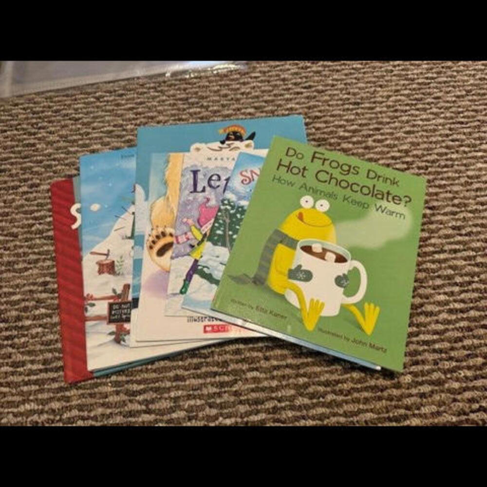 Snow and Winter Children's Books Lot Of 7